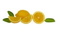 Fresh yellow ripe lemon round fruit, half sliced fruits and green leaf isolated on white background, die cut with clipping part Royalty Free Stock Photo