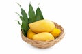 Fresh yellow ripe mangoes fruit in rattan basket with green leaves isolated on white background Royalty Free Stock Photo