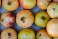 Fresh yellow ripe pomegranates in the box Royalty Free Stock Photo