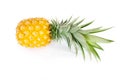 Fresh, yellow, ripe pineapple fruit with green leaves isolated on a white background. Healthy tropical fruit for smoothies and Royalty Free Stock Photo