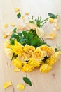 Fresh yellow roses Royalty Free Stock Photo