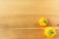 Fresh yellow scotch bonnet chili peppers on a wooden board with copy space Royalty Free Stock Photo