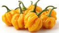 Fresh Yellow Scotch Bonnet Peppers