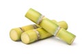 Fresh yellow sugar cane on white