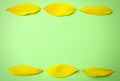 Fresh yellow sunflower petals on green background, flat lay. Space for text Royalty Free Stock Photo