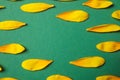 Fresh yellow sunflower petals on green background, flat lay. Space for text Royalty Free Stock Photo