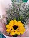 fresh yellow sunflowers Organize beautiful decorations for various important days, Valentine, love, romance, buildings