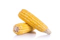 Fresh yellow sweet corn on the cob.