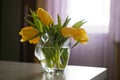 Fresh yellow tulips bouquet over wooden table. Isolated on white Royalty Free Stock Photo