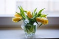 Fresh yellow tulips bouquet over wooden table. Isolated on white Royalty Free Stock Photo