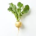 Fresh Turnip Root Vegetable with Green Leaves Isolated on White Background Royalty Free Stock Photo