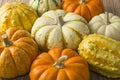 Pumkin Royalty Free Stock Photo