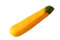 Fresh yellow zucchini Royalty Free Stock Photo