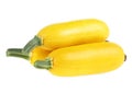 Fresh yellow zucchini isolated on white background. Golden zucchini Royalty Free Stock Photo