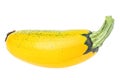 Fresh yellow zucchini isolated on white background. Yellow squash Royalty Free Stock Photo