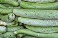 Fresh yellow zucchinis