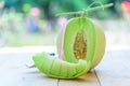 Fresh yelow galia melon Royalty Free Stock Photo