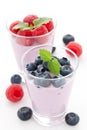 Fresh yogurt Royalty Free Stock Photo