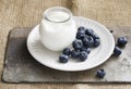 Fresh yogurt with blueberries