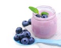 Fresh yogurt with blueberries Royalty Free Stock Photo