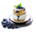 Fresh Yogurt with blueberries Royalty Free Stock Photo