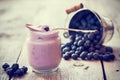 Fresh yogurt and blueberries Royalty Free Stock Photo
