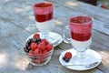 Fresh yogurt, fragrant, homegrown, black currant and red raspberry in glasses - healthy dessert Royalty Free Stock Photo