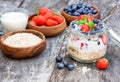 Fresh yogurt with oat flakes and berries Royalty Free Stock Photo