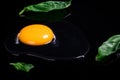 Fresh yolks and basil leaves Royalty Free Stock Photo