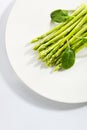 Fresh Young Asparagus Stalks and Green Spinach Leaves Isolated Royalty Free Stock Photo