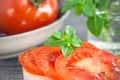 Fresh tomato with basil and pepper, close-up Royalty Free Stock Photo