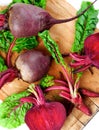 Fresh Young Beet