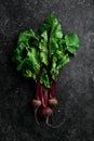 Fresh young beets with green leaves. On a black background. Royalty Free Stock Photo
