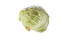 Fresh young cabbage isolated on white background. Spring green vegetables. Royalty Free Stock Photo