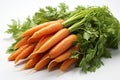 Fresh young carrot with green leaves isolated on white background. Royalty Free Stock Photo