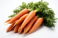 Fresh young carrot with green leaves isolated on white background. Royalty Free Stock Photo