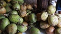 Fresh young coconuts, Fresh green coconut, Piles of green coconut