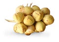 Fresh young coconuts isolated with clipping path. Royalty Free Stock Photo