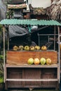 Fresh and young coconuts on the street market. Bali island, Indonesia. Royalty Free Stock Photo