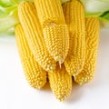 Fresh young corn with green leaves lies on a white background Royalty Free Stock Photo