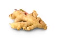 Fresh young ginger root isolated on white background with Clipping Path Royalty Free Stock Photo