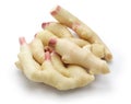 Fresh young ginger roots, ingredient of japanese sushi ginger