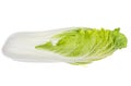 Fresh young green chinese cabbage isolated on white background Royalty Free Stock Photo