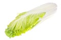 Fresh young green chinese cabbage isolated on white background Royalty Free Stock Photo