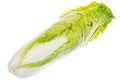 Fresh young green chinese cabbage isolated on white background Royalty Free Stock Photo