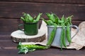 Fresh young green peas in pods in a tin mug, ripe organic vegetables Royalty Free Stock Photo