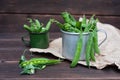 Fresh young green peas in pods in a tin mug, ripe organic vegetables Royalty Free Stock Photo