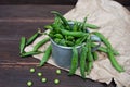 Fresh young green peas in pods in a tin mug, ripe organic vegetables Royalty Free Stock Photo