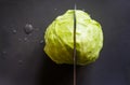 Fresh young head of cabbage on a cutting board