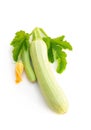 Fresh young squash with leaves and flowers isolated on white Royalty Free Stock Photo